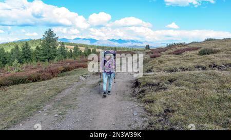 Eine Reisende mit einem Rucksack auf Wanderstöcken, die tagsüber den Pfad in Altai vor der Kulisse der Berge erklimmen. Stockfoto