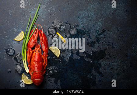 Gekochter, roter Hummer, fertig zum Essen serviert mit Zitronenschnitten und Eiswürfeln, Blick von oben flach auf blauem Betonsteinhintergrund, Meeresfrüchte Stockfoto