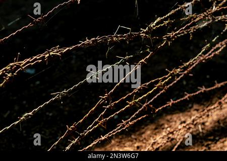 Rostiger Stacheldraht am alten Zaun. Ein alter Stacheldrahtzaun gegen den dunklen Boden Stockfoto