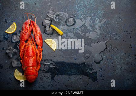 Gekochter, roter Hummer, fertig zum Essen serviert mit Zitronenschnitten und Eiswürfeln, Blick von oben flach auf blauem Betonsteinhintergrund, Meeresfrüchte Stockfoto