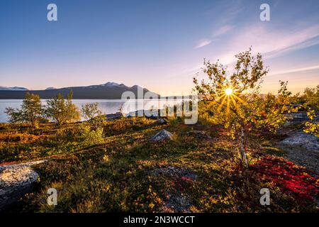 Herbstlandschaft mit See Akkajaure und Bergkette Akka, Sonnenuntergang, Stora Sjoefallet Nationalpark, Laponia, Norrbotten, Lappland, Schweden Stockfoto