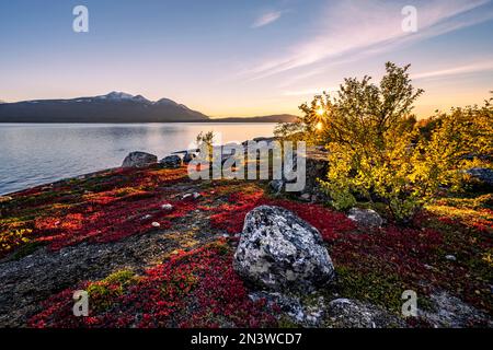 Herbstlandschaft mit See Akkajaure und Bergkette Akka, Sonnenuntergang, Stora Sjoefallet Nationalpark, Laponia, Norrbotten, Lappland, Schweden Stockfoto