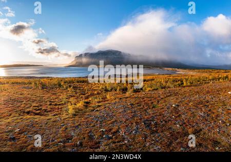 Herbstlandschaft, Stora Sjoefallet National Park, Laponia, Norrbotten, Lappland, Schweden Stockfoto