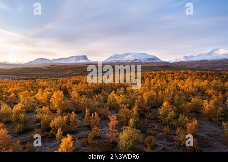 Herbstlandschaft vor der schneebedeckten Berggruppe Lapporten, Abisko, Lappland, Schweden Stockfoto