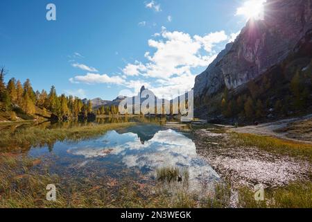 Monte Pelmo spiegelte sich im Bergsee Lago Federa mit herbstfarbenen Lärchen, Dolomiten, Provinz Trentino, Italien Stockfoto