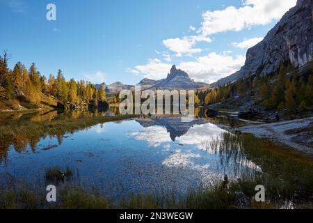 Monte Pelmo spiegelte sich im Bergsee Lago Federa mit herbstfarbenen Lärchen, Dolomiten, Provinz Trentino, Italien Stockfoto