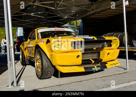 Ford GT 40, Histo Cup 2019, Bosch Race, Salzburgring 1, Salzburg, Österreich Stockfoto