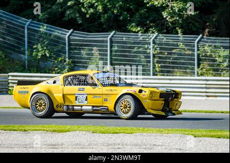 Hubert Faerber, Ford Shelby GT 350R, Histo Cup 2019, Bosch Race, Salzburgring 1, Salzburg, Österreich Stockfoto