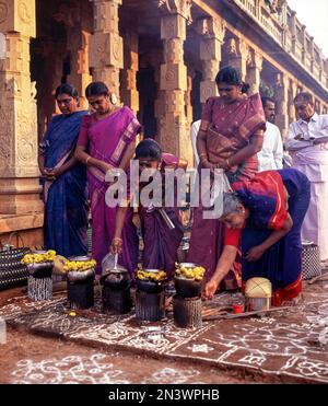 Pongal Festival oder Sevvai Pongal in Nattarasankottai Village, Sivaganga, Tamil Nadu, Indien, Asien Stockfoto