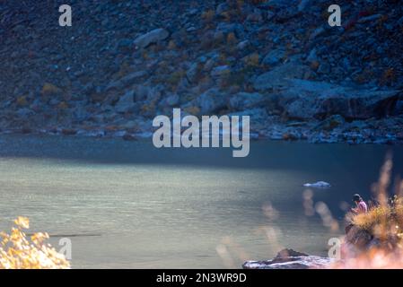 Ein Mädchen sitzt am Ufer im Schatten eines Felsens in der Nähe des alpinen Sees Shavlinskoye vor dem Hintergrund von Bergen mit Gletschern und Schnee Stockfoto