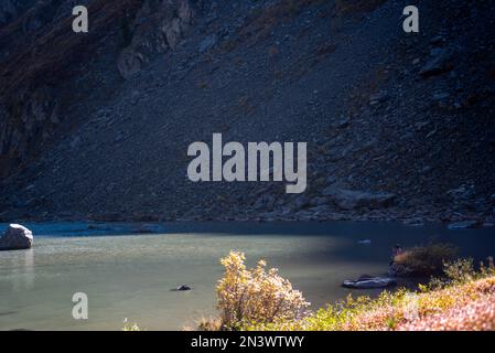 Ein Mädchen setzt sich und fotografiert am Telefon am Ufer im Schatten eines Steinfelsens in der Nähe des alpinen Sees Shavlinskoye in Altai im Autum Stockfoto