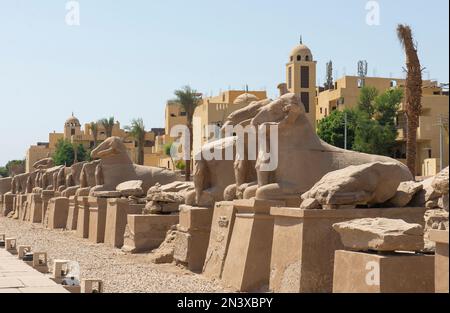 Große Statuen von RAM-headed Sphinxes im alten ägyptischen Karnak-Tempel unten Avenue Stockfoto