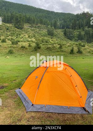 Ein lächelndes asiatisches Mädchen mit Brille und Hut schaut mit einem Kopf aus einem orangefarbenen Touristenzelt. Vertikaler Rahmen. Stockfoto