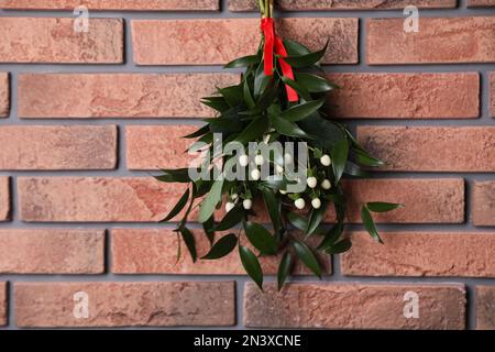 Mistelzweige mit rotem Band, das an einer Ziegelwand hängt. Traditionelle Weihnachtsdekor Stockfoto