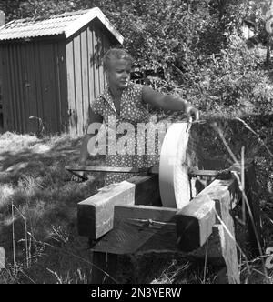 Scheren schärfen im 1950er. Eine Frau in ihrem Garten, die eine Schere auf einem Schleifstein schärft. Dieser Schleifstein wurde durch Drehen eines Hebels an der Achse gedreht und bewegt. Schweden 1958 Kristoffersson Ref CA54-7 Stockfoto