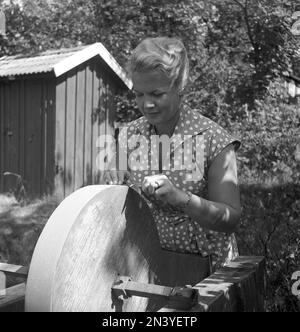 Scheren schärfen im 1950er. Eine Frau in ihrem Garten, die eine Schere auf einem Schleifstein schärft. Dieser Schleifstein wurde durch Drehen eines Hebels an der Achse gedreht und bewegt. Schweden 1958 Kristoffersson Ref CA54-5 Stockfoto
