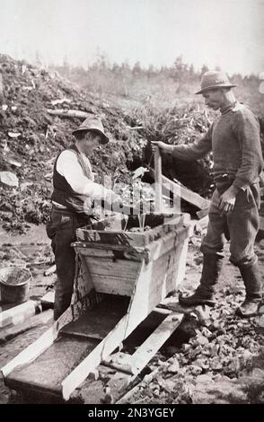 Gold! Zwei Männer, männliche Goldsucher, die während eines Goldrauschs in den USA im späten 19. Jahrhundert Gold pflückten. 1890 Stockfoto