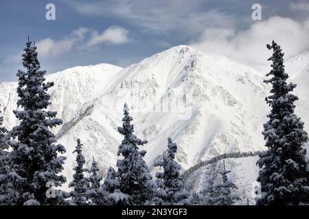 Wunderschöne Landschaft mit Fichtenwald mit Schnee und großen Bergen im Tal bei nebligen Wolken in Tien Shan, Kasachstan. Stockfoto