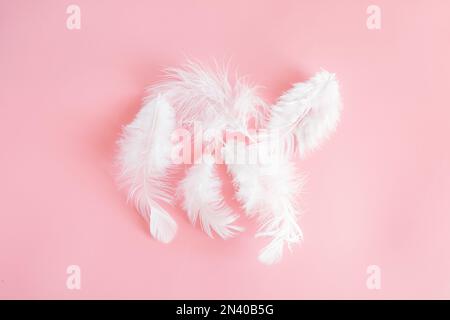 Weiße flauschige Federn auf zartem rosa Hintergrund. Kleine flauschige weiße Federn befinden sich in der Mitte. Speicherplatz kopieren. Stockfoto