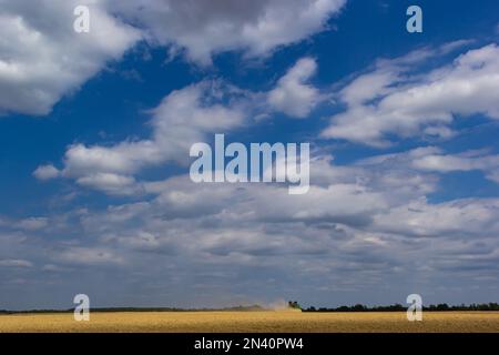 Foto von Mähdrescher, der Weizen mit Staubstroh in der Luft erntet. Stockfoto