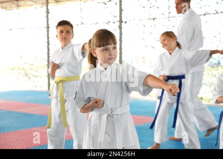 Kinder im Kimono, die Karate auf Tatami im Freien praktizieren Stockfoto