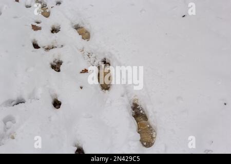 Schneetextur mit Fußabdrücken auf schneebedecktem Untergrund. Stockfoto
