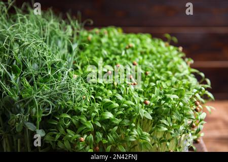 Auswahl an frischen Bio-Mikrogreens, Nahaufnahme Stockfoto