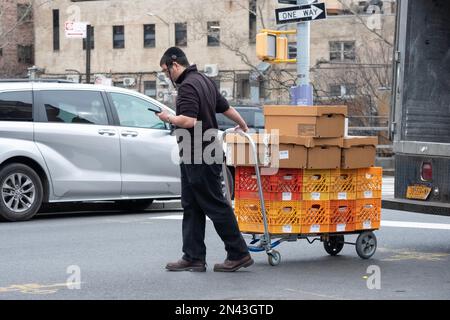 Ein Arbeiter für Satmar Meat liefert Kisten und Kartons vom Lager zu einem der Geschäfte. In Brooklyn, New York. Stockfoto