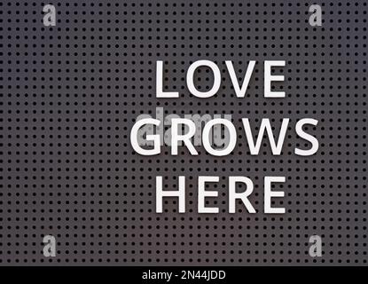 Worts Love wächst hier mit weißen Buchstaben auf einer grauen Lochwand Stockfoto
