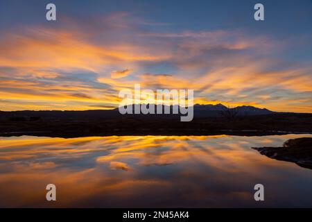 Bunte Sonnenaufgangswolken über den La Sal Mountains spiegeln sich in einem Regenwasserpool im Arches National Park, Moab, Utah, wider. Stockfoto