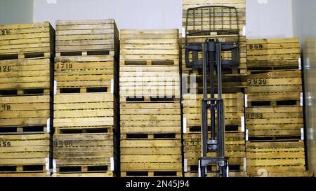 Eine Spezialmaschine, ein Lader und ein Gabelstapler stellen große Holzkisten mit Äpfeln übereinander in einen speziellen Lagerraum im Lager. Hochwertiges Foto Stockfoto