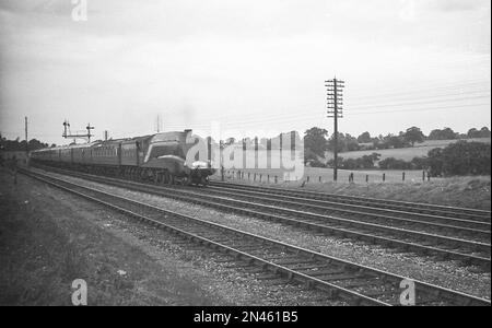 Gresley LNER A4 Class Pacific 4-6-2 Dampflokomotive Nr. 4484 „Falcon“ in einem benannten Expresszug im Sommer 1939 Stockfoto