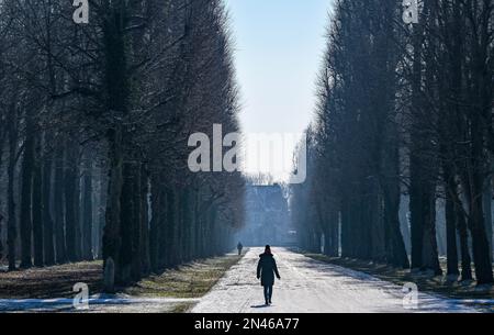 Potsdam, Deutschland. 08. Februar 2023. Wanderer sind in der Sonne und am blauen Himmel im Sanssouci Park. Auch in den nächsten Tagen bleibt es sonnig, aber mit Minustemperaturen in der Nacht. Kredit: Jens Kalaene/dpa/Alamy Live News Stockfoto