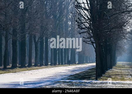 Potsdam, Deutschland. 08. Februar 2023. Wanderer sind in der Sonne und am blauen Himmel im Sanssouci Park. Auch in den nächsten Tagen bleibt es sonnig, aber mit Minustemperaturen in der Nacht. Kredit: Jens Kalaene/dpa/Alamy Live News Stockfoto