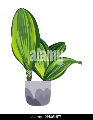 Dekorative Vektordarstellung für Zimmerpflanzen isoliert auf weißem Hintergrund Stock Vektor