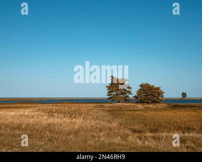 Blick auf die Herbstlandschaft der Schlei bei Maasholm in Schleswig-Holstein Stockfoto