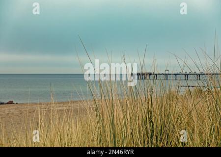 Blick durch die Dünen auf die Ostsee und den Pier von Niendorf, Schleswig-Holstein, Deutschland Stockfoto