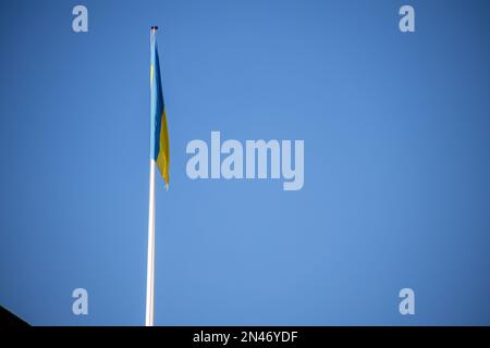 London, Vereinigtes Königreich - Februar 8. 2023: Ukrainische Flagge in der Whitehall Street als Präsident Volodymyr Zelensky das erste Mal seit der russischen Invasion im Vereinigten Königreich besucht. Kredit: Sinai Noor/Alamy Live News (nur redaktionelle Verwendung) Stockfoto