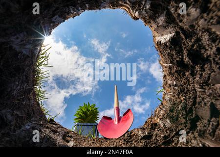 Aus dem Loch im Boden nach oben schauen, während Blumen gepflanzt werden. Blumengarten-, Garten- und Gartenbaukonzept Stockfoto