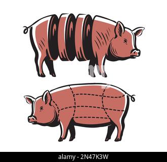 Schwein, Schweinefleisch, Schema. Metzgerei-Symbol mit Schweinefleischteilen. Klassisches Fleischdiagramm. Vektordarstellung Stock Vektor