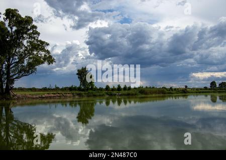 Drehen Sie das bewässerte Feld am Flussufer Stockfoto