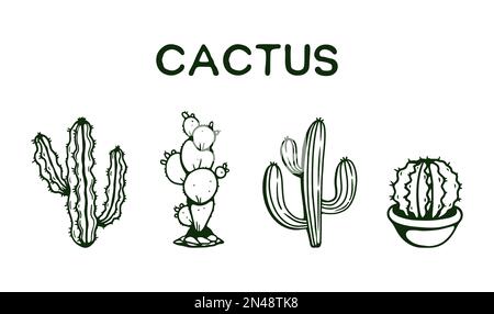Die Handzeichnung der Kaktussammlung Stock Vektor