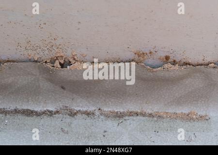 Nahaufnahme des Termitenhügels an der Hauswand. Stockfoto