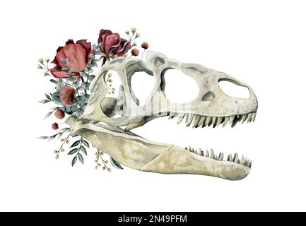 Fleischfressender Dinosaurierschädel mit roten Rosen, Feldblumen und Eukalyptus-Aquarell-Illustration isoliert auf weißem Hintergrund Stockfoto