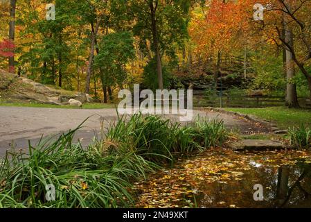 Herbstfarben in einem Ohio-Park mit einem Blattteich in der Nähe des Eingangs Stockfoto