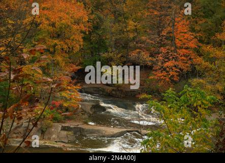 Wasserfälle und Wasserfälle im Rocky River, die im Herbst von einem Aussichtspunkt in einem nördlichen Ohio Park aus zu sehen sind Stockfoto