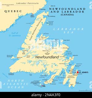Insel Neufundland, politische Karte. Teil der kanadischen Provinz Neufundland und Labrador mit Hauptstadt St. John's. Große Insel. Stockfoto