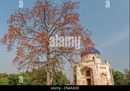 03 11 2007 Nila Gumbad oder Blue Dome in der Nähe des Humayun-Grabes, Nizamuddin Delhi Indien Stockfoto