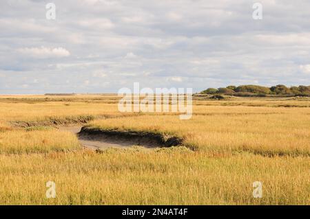 Teil des Naturschutzgebiets Pagham Harbour. Herbst Stockfoto