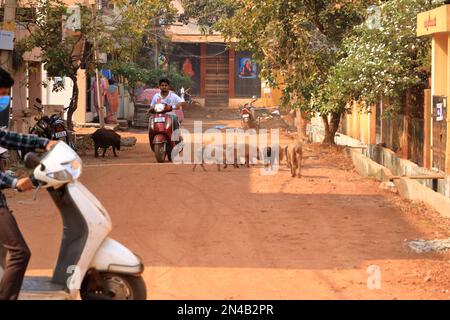 Dezember 17 2022 - Bidar, Karnataka in Indien: Straßenleben in einer kleineren Stadt in Zentralindien Stockfoto